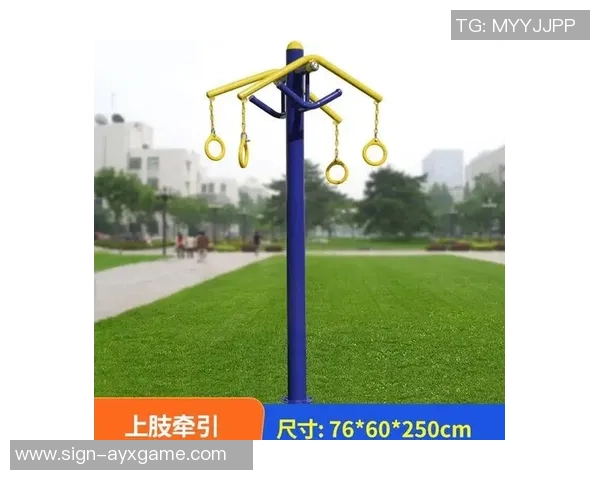 多种户外体育健身器材推荐及其功能分析助你提升健身效果